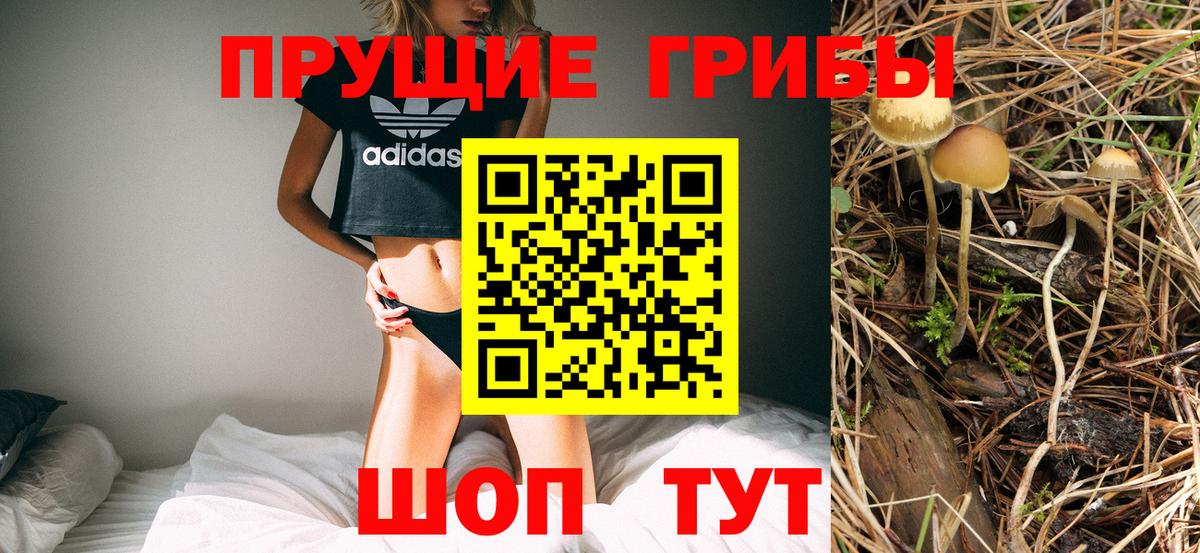 Псилоцибиновые грибы Cubensis  Вход с VPN  Донецк 