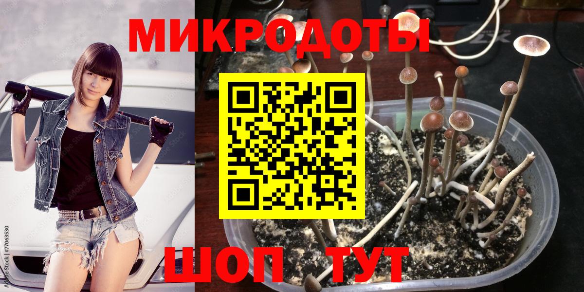 Псилоцибиновые грибы прущие грибы Донецк